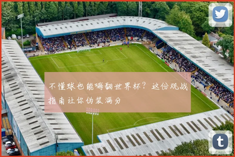 不懂球也能嗨翻世界杯？这份观战指南让你伪装满分