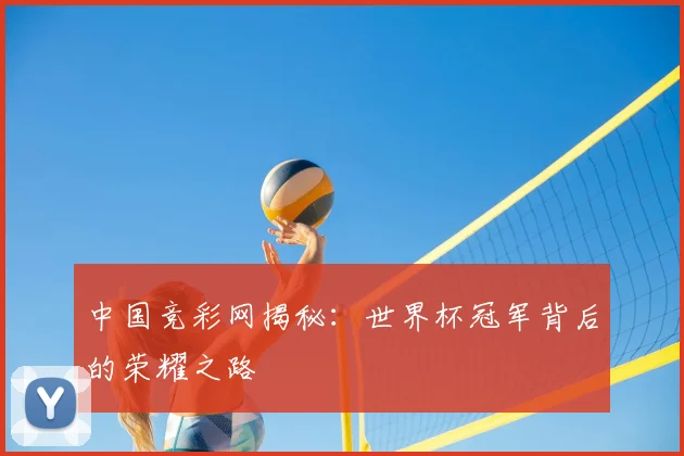 中国竞彩网揭秘：世界杯冠军背后的荣耀之路