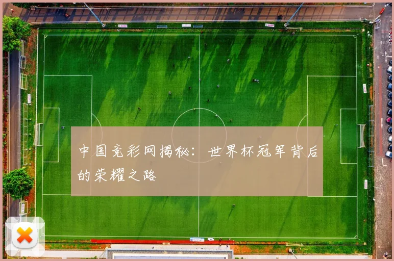 中国竞彩网揭秘：世界杯冠军背后的荣耀之路